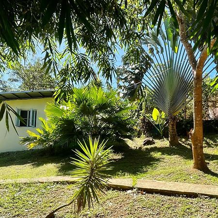 Blue Moon Guesthouse Puerto Princesa Bagian luar foto