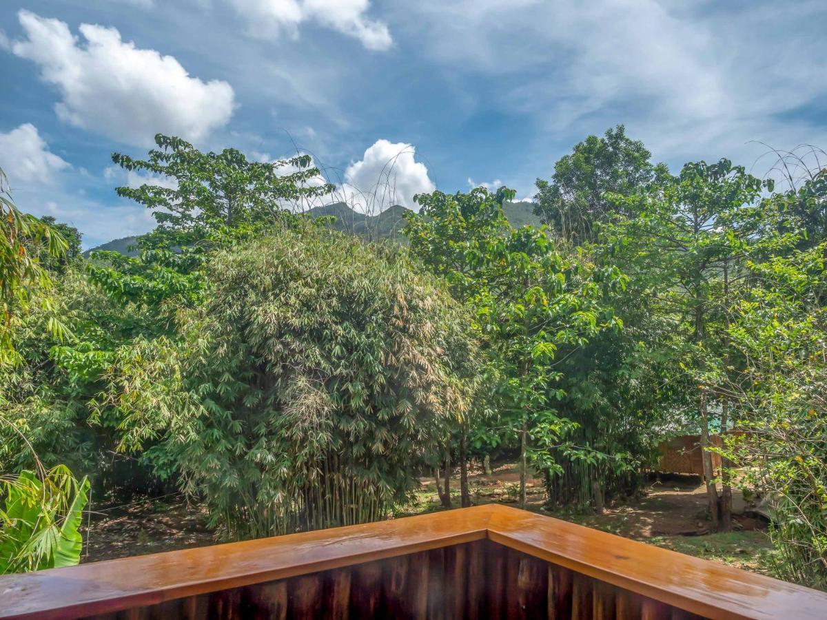 Blue Moon Guesthouse Puerto Princesa Bagian luar foto