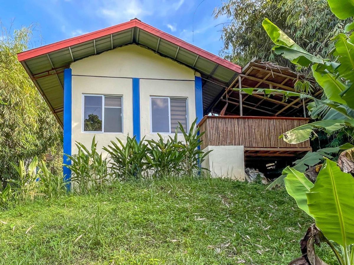 Blue Moon Guesthouse Puerto Princesa Bagian luar foto