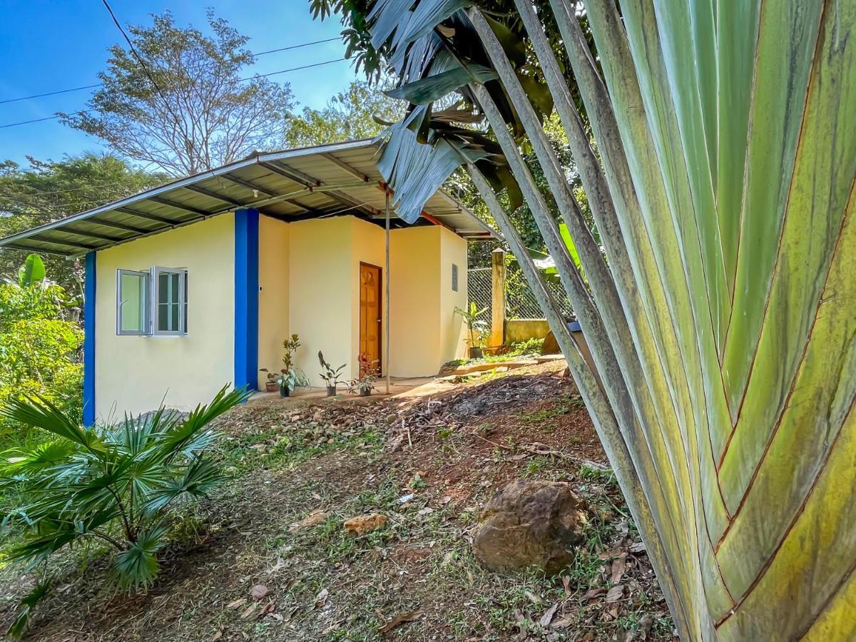Blue Moon Guesthouse Puerto Princesa Bagian luar foto