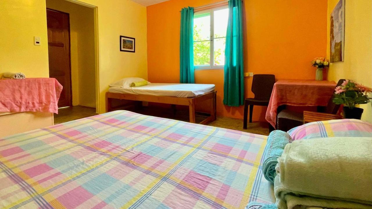 Blue Moon Guesthouse Puerto Princesa Bagian luar foto