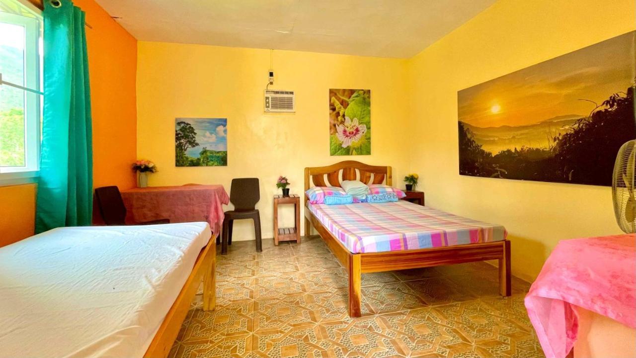 Blue Moon Guesthouse Puerto Princesa Bagian luar foto