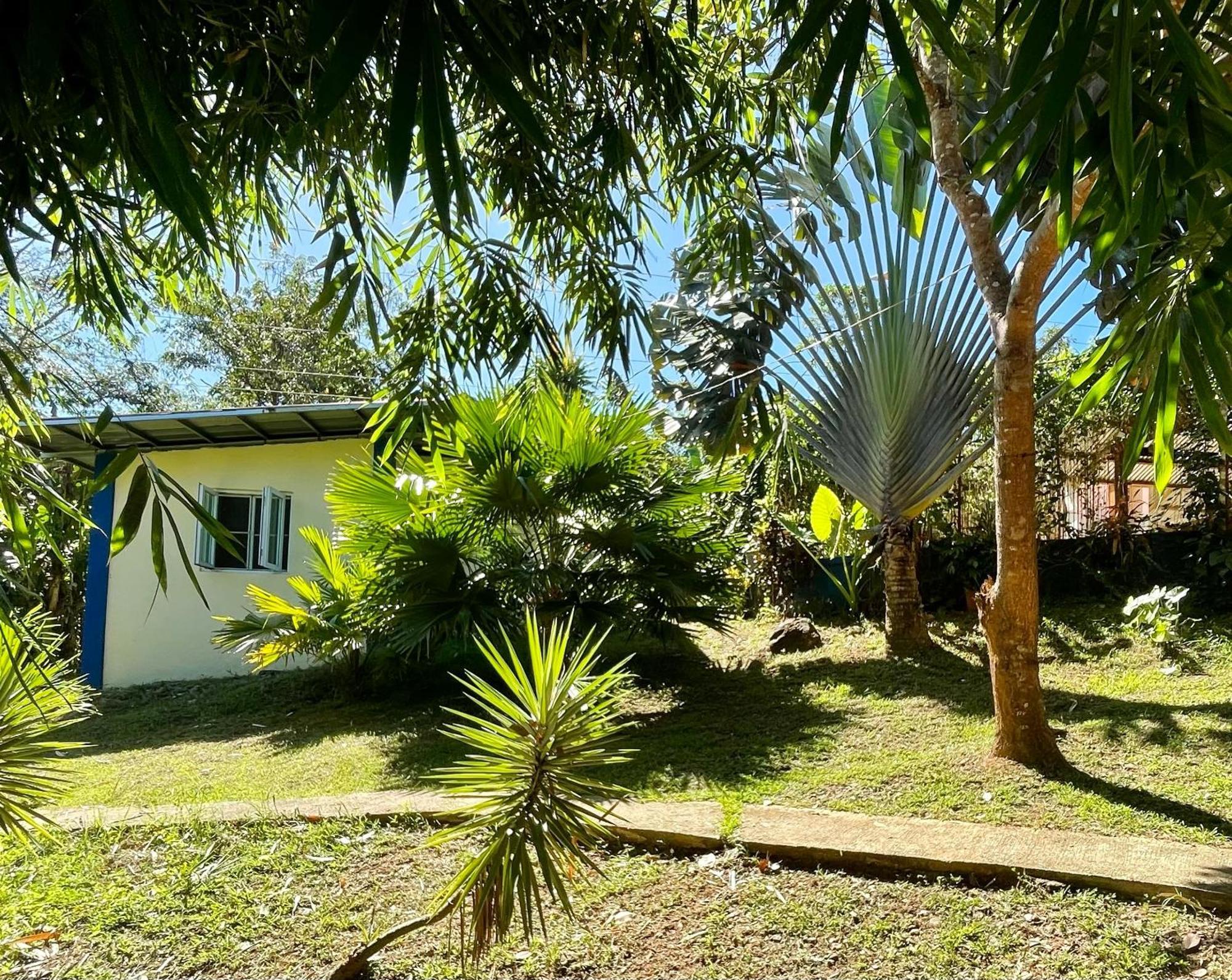 Blue Moon Guesthouse Puerto Princesa Bagian luar foto