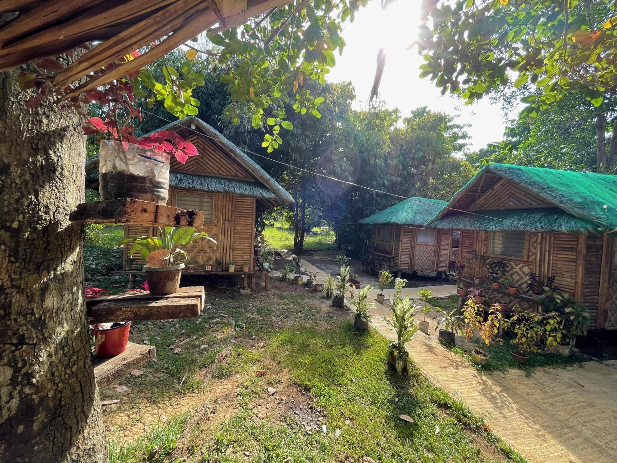 Blue Moon Guesthouse Puerto Princesa Bagian luar foto