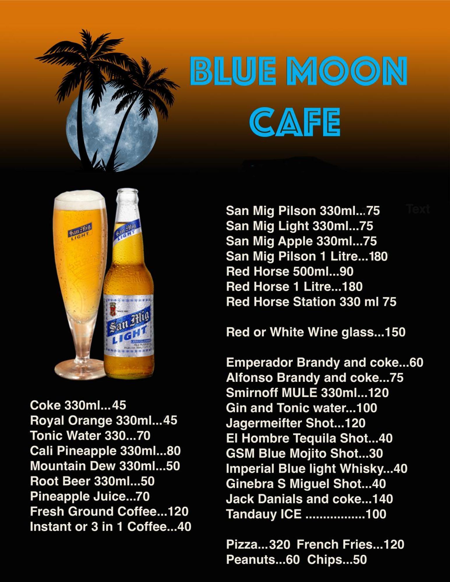 Blue Moon Guesthouse Puerto Princesa Bagian luar foto