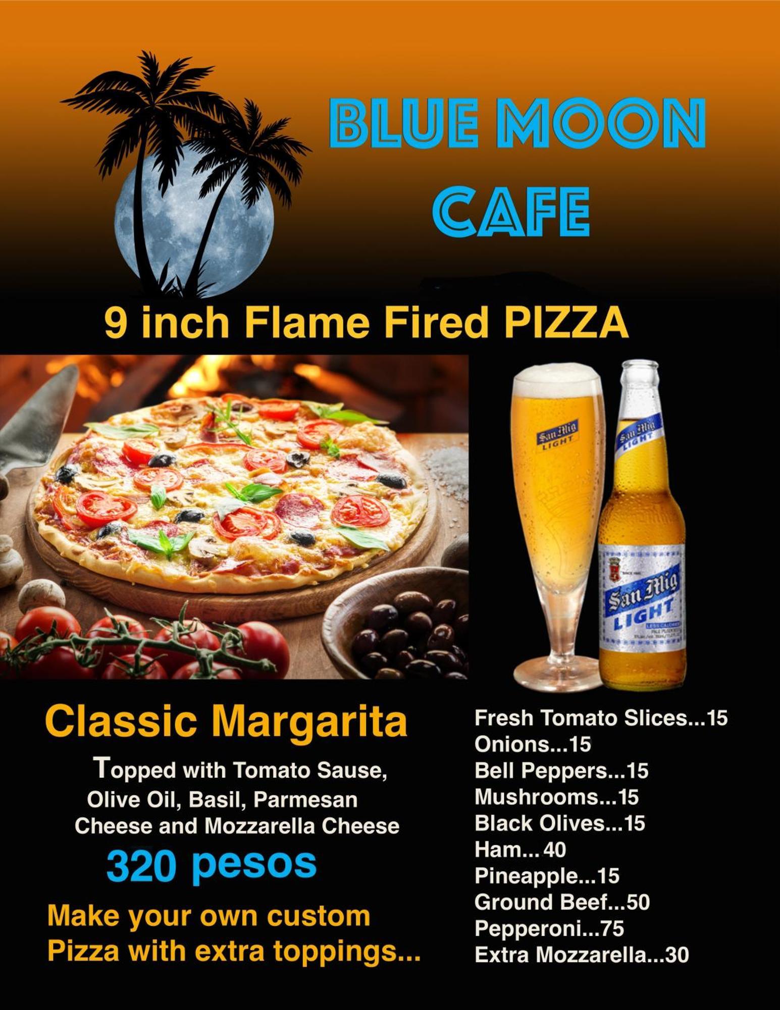 Blue Moon Guesthouse Puerto Princesa Bagian luar foto